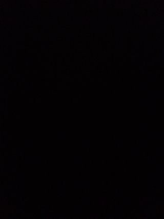 Photo of Daniyal Noor