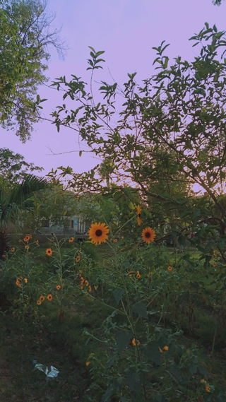 Photo of Muzamilamja Muzamilamja