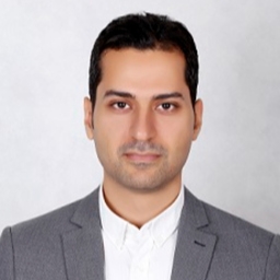 Photo of hessam parchehbafieh