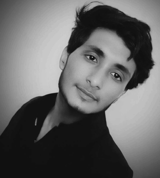 Photo of Danish Raja