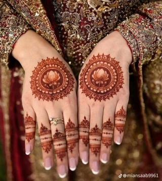 Photo of Maham Nasir