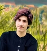 no alt text