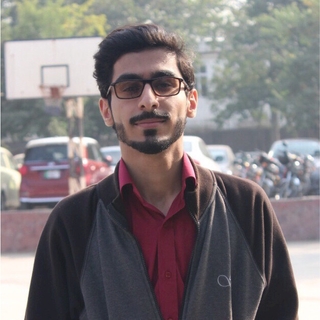 Photo of Danish Ali