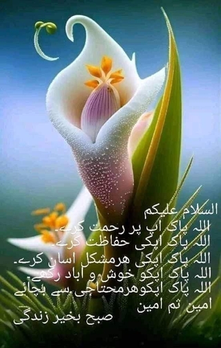 Photo of Dawood Butt