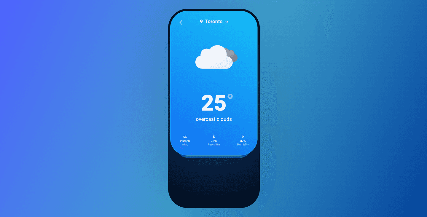 project preview
