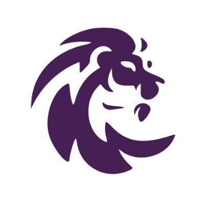 project preview