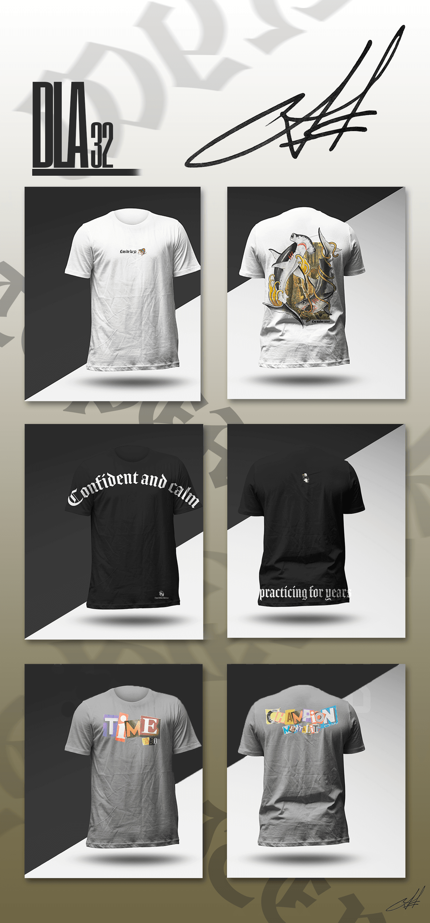project preview